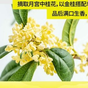 MOTI魔笛S烟弹桂花